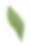 bluired green leaf