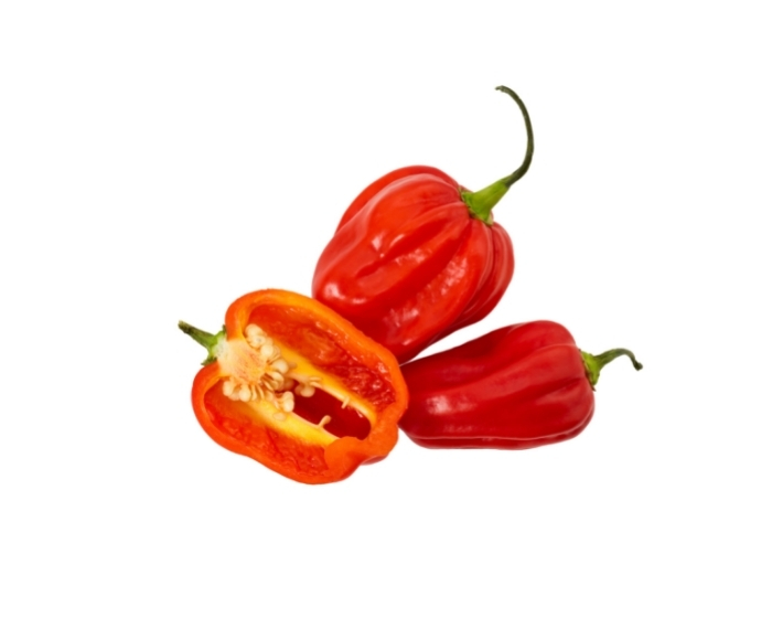 habanero red jacket