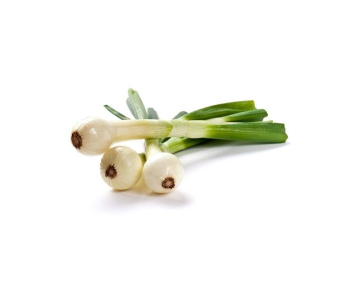 Buy Spring Onion/Cambray Fresco