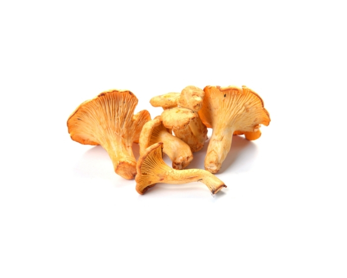 Buy Mushroom Chanterelle Fresco