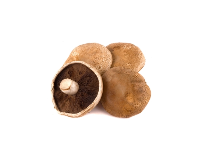 Buy Mushroom Portobello (Large) Fresco