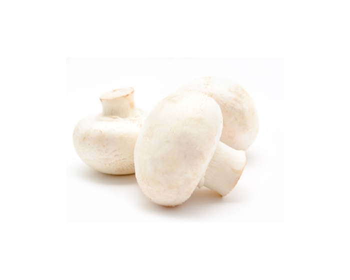 buy-mushroom-silver-dollar-10lb-fresco
