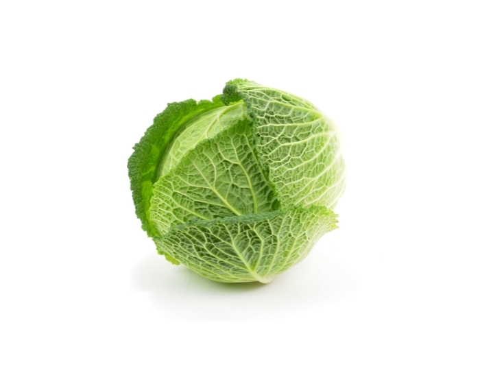 Buy Cabbage Savoy Fresco