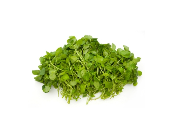 Buy Watercress (B&W) Fresco